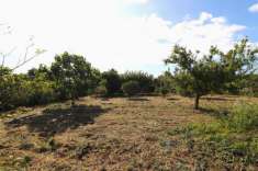 Foto Terreno agricolo in vendita a Tortoli'