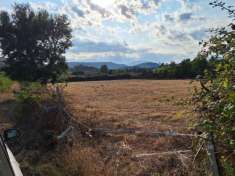 Foto Terreno agricolo in vendita a Tortoli'