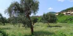 Foto Terreno agricolo in Vendita a Toscolano-Maderno
