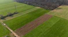 Foto Terreno agricolo in vendita a Tradate