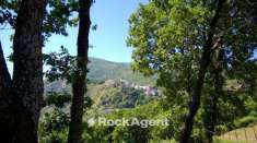 Foto Terreno agricolo in vendita a Trecchina