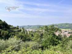 Foto Terreno agricolo in Vendita a Tregnago