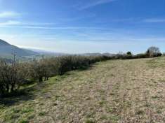 Foto Terreno agricolo in Vendita a Tregnago