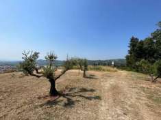 Foto Terreno agricolo in Vendita a Tregnago Tregnago