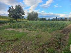 Foto Terreno agricolo in vendita a Trevi