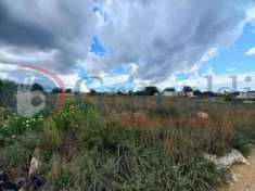 Foto Terreno agricolo in vendita a Ugento
