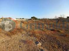 Foto Terreno agricolo in vendita a Ugento