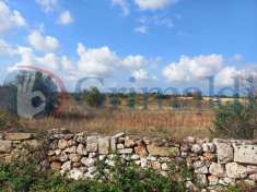 Foto Terreno agricolo in vendita a Ugento