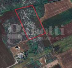 Foto Terreno agricolo in vendita a Uggiano La Chiesa