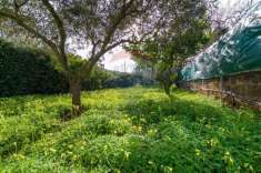 Foto Terreno agricolo in vendita a Valderice