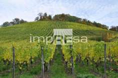 Foto Terreno agricolo in vendita a Valdobbiadene