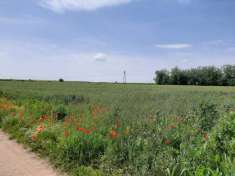 Foto Terreno agricolo in Vendita a Valeggio sul Mincio