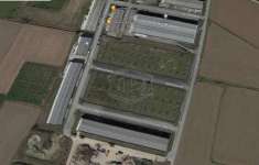 Foto Terreno agricolo in vendita a Vellezzo Bellini