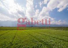 Foto Terreno agricolo in vendita a Venafro