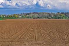 Foto Terreno agricolo in vendita a Venafro