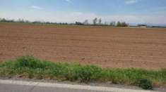 Foto Terreno agricolo in vendita a Venafro