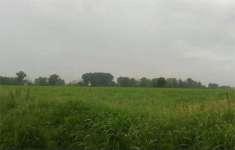 Foto Terreno agricolo in Vendita a Verolanuova