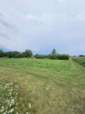 Foto Terreno agricolo in vendita a Verona