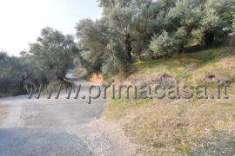 Foto Terreno agricolo in vendita a Verona