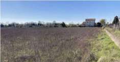 Foto Terreno agricolo in Vendita a Verona Cadidavid