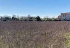 Foto Terreno agricolo in Vendita a Verona Cadidavid