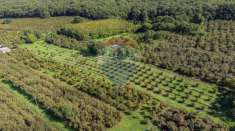 Foto Terreno agricolo in vendita a Vetralla