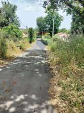 Foto Terreno agricolo in vendita a Viagrande