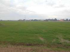 Foto Terreno agricolo in vendita a Vicarello - Collesalvetti 25000 mq  Rif: 1047352