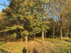 Foto Terreno agricolo in vendita a Vicenza