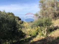 Foto Terreno agricolo in vendita a Vico Del Gargano