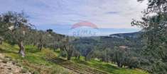 Foto Terreno agricolo in vendita a Vieste