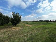 Foto Terreno agricolo in vendita a Vignola