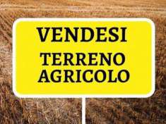 Foto Terreno agricolo in vendita a Vigodarzere