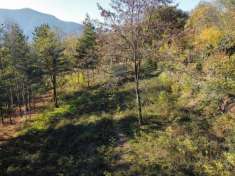 Foto Terreno agricolo in vendita a Villarbasse
