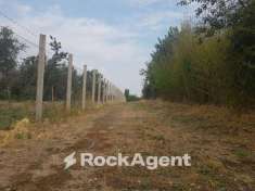 Foto Terreno agricolo in vendita a Viterbo