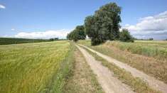 Foto Terreno agricolo in vendita a Viterbo