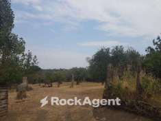 Foto Terreno agricolo in vendita a Viterbo