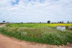 Foto Terreno agricolo in vendita a Vittoria