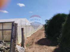 Foto Terreno agricolo in vendita a Vittoria