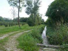 Foto Terreno agricolo in vendita a Vivaro