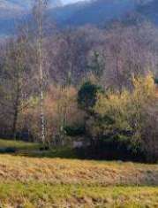 Foto Terreno agricolo in Vendita a Vobarno Cecino