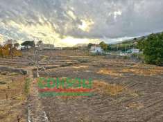 Foto Terreno agricolo in vendita a Zafferana Etnea
