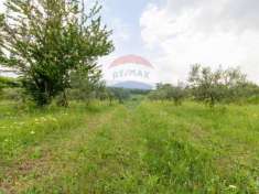 Foto Terreno agricolo in vendita a Zagarolo