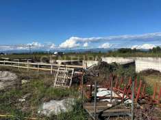 Foto Terreno agricolo in vendita a Zevio