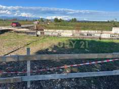 Foto Terreno agricolo in vendita a Zevio