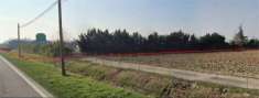Foto Terreno agricolo in Vendita a Zevio