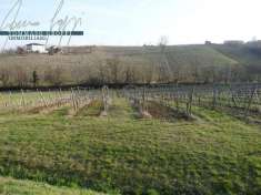 Foto Terreno agricolo in vendita a Ziano Piacentino