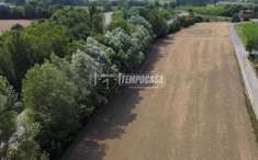 Foto Terreno agricolo in vendita a Zola Predosa