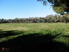 Foto Terreno agricolo in Vendita in Localit  San Giorgio a Tarquinia