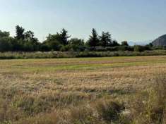 Foto Terreno agricolo in Vendita in zona COLIGNOLA con giardino